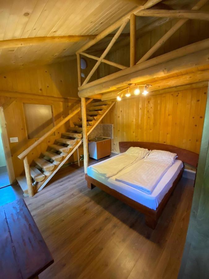 Pensiunea Casa Zmeilor Dragus エクステリア 写真