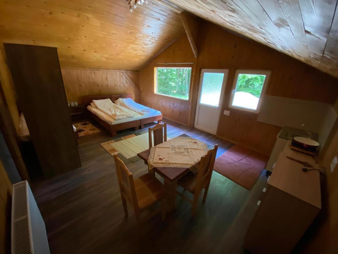 Pensiunea Casa Zmeilor Dragus エクステリア 写真