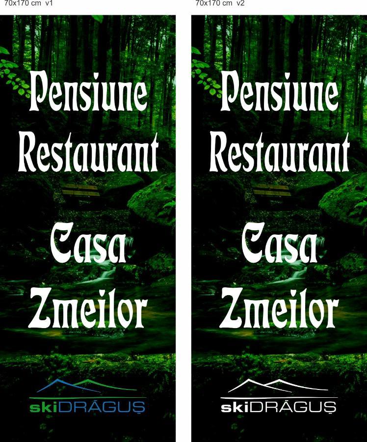 Pensiunea Casa Zmeilor Dragus エクステリア 写真