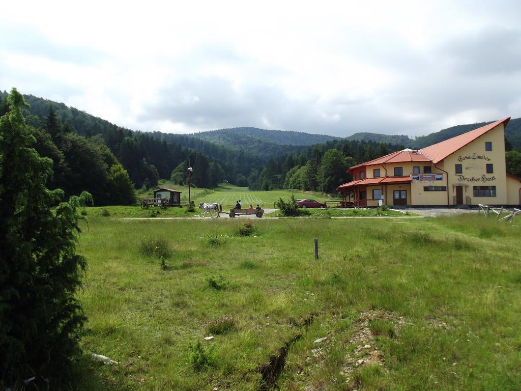 Pensiunea Casa Zmeilor Dragus エクステリア 写真