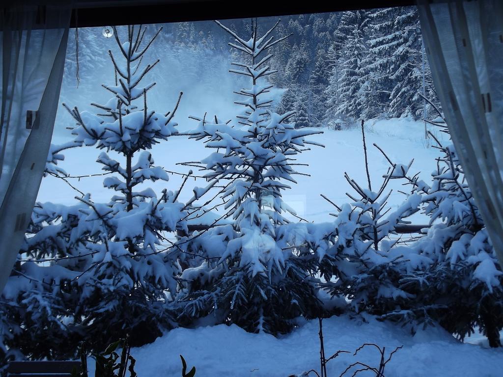 Pensiunea Casa Zmeilor Dragus エクステリア 写真