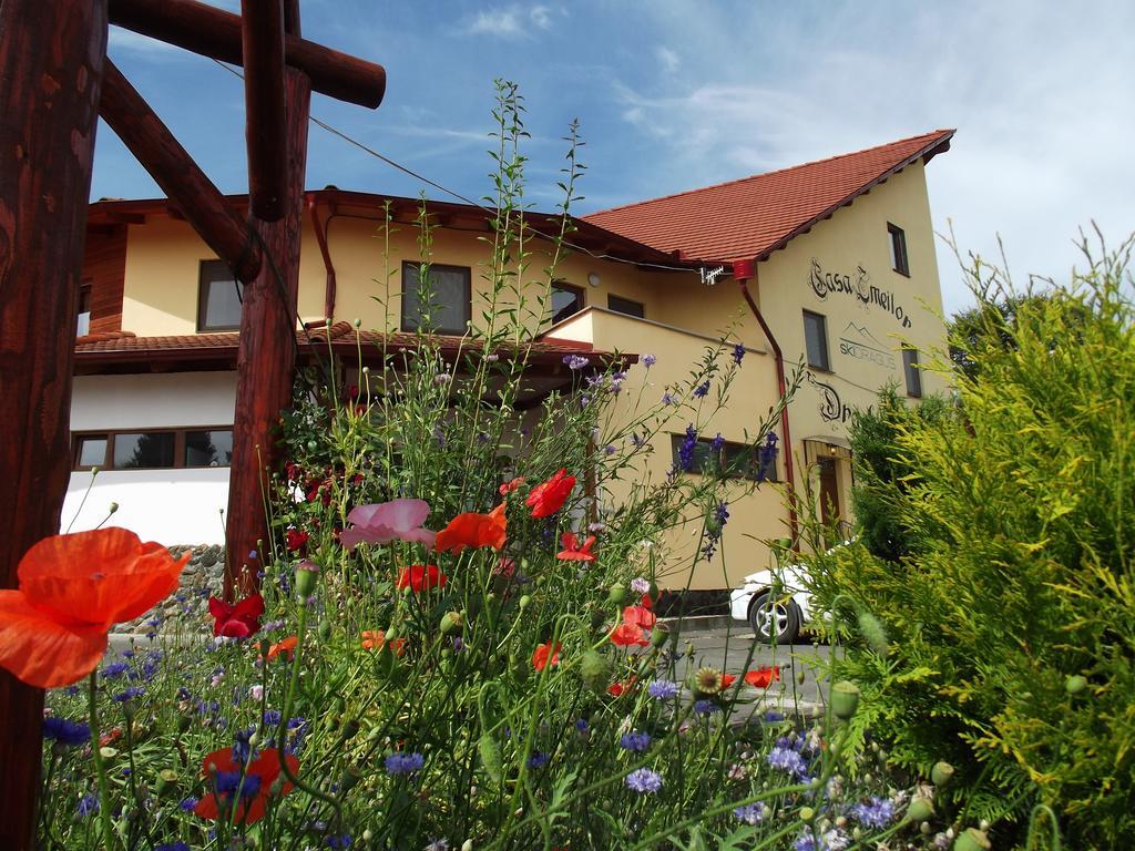Pensiunea Casa Zmeilor Dragus エクステリア 写真