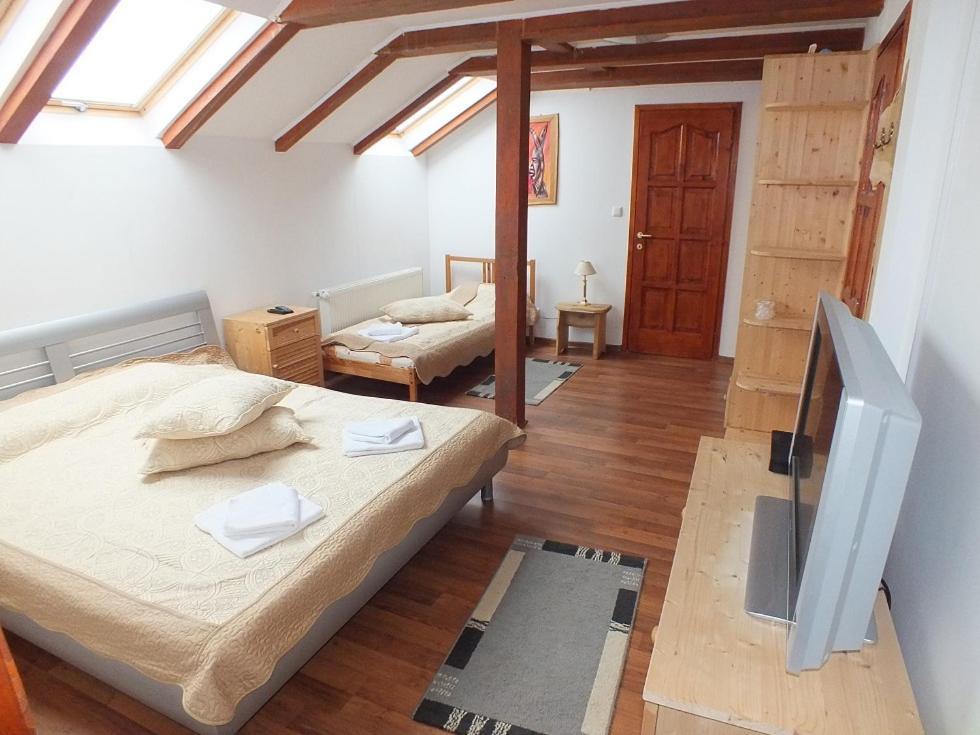 Pensiunea Casa Zmeilor Dragus エクステリア 写真